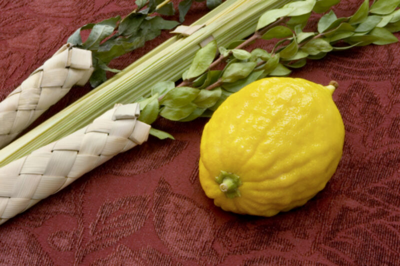 Sept 21, 2025 – Sukkot Joy Rule? Is that a command?
