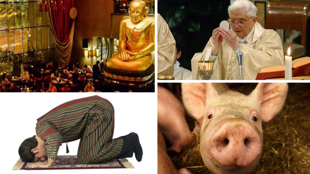 How to save your Life